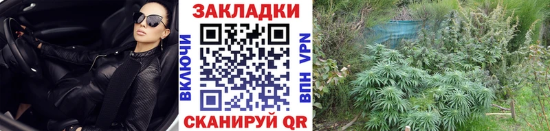Где продают наркотики Стародуб ГАШ  OMG зеркало  Амфетамин  Codein  Марихуана  Меф  СОЛЬ  COCAIN 