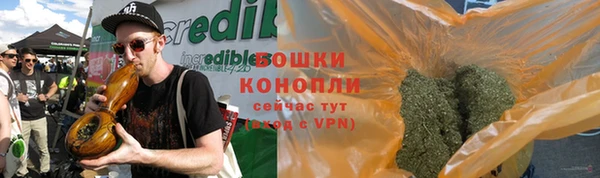дживик Лагань
