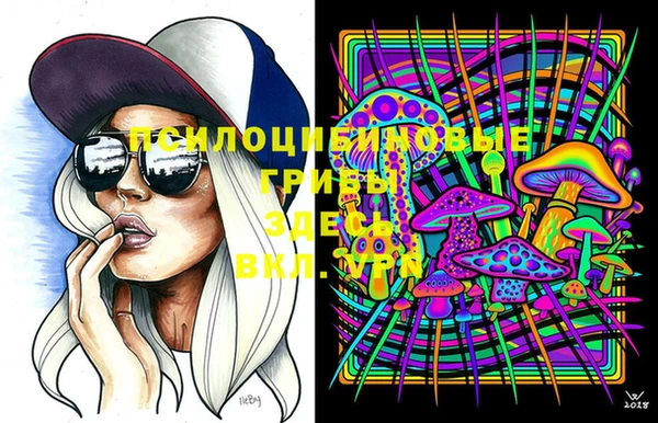 молекула духа Краснослободск