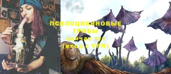 скорость Лиски
