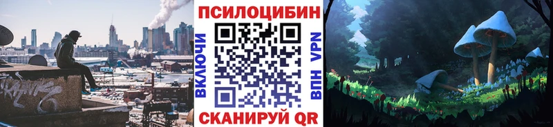 где можно купить наркотик  Стародуб  Псилоцибиновые грибы мухоморы 